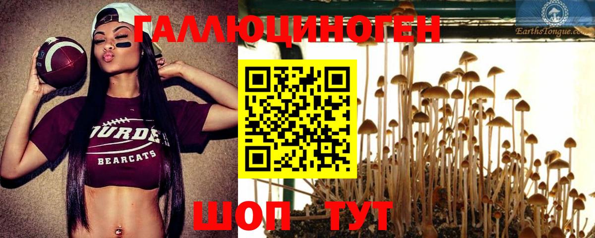 Саранск  Псилоцибиновые грибы мухоморы  Вход с VPN  Псилоцибиновые грибы Magic Shrooms 