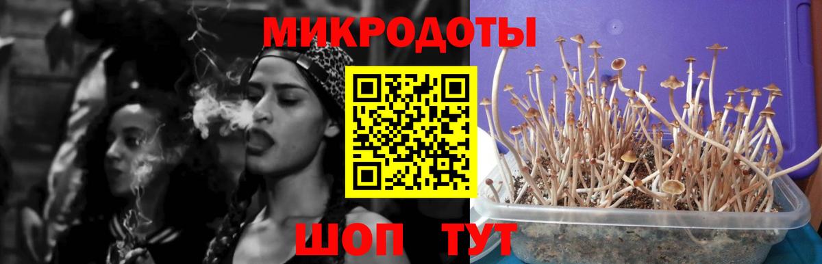 Псилоцибиновые грибы ЛСД Саранск